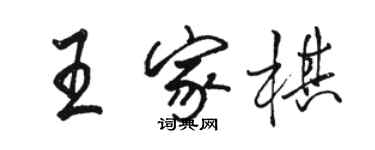 駱恆光王家棋行書個性簽名怎么寫