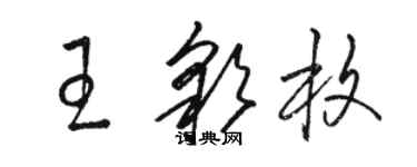 駱恆光王彩枚草書個性簽名怎么寫