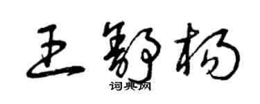 曾慶福王舒楊草書個性簽名怎么寫