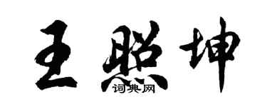 胡問遂王照坤行書個性簽名怎么寫