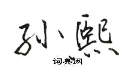 駱恆光孫熙行書個性簽名怎么寫