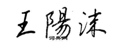 王正良王陽沫行書個性簽名怎么寫