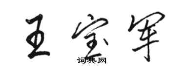 駱恆光王寶軍行書個性簽名怎么寫