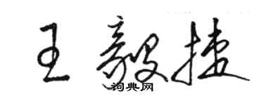 駱恆光王毅捷草書個性簽名怎么寫