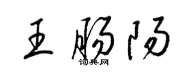 梁錦英王腸陽草書個性簽名怎么寫