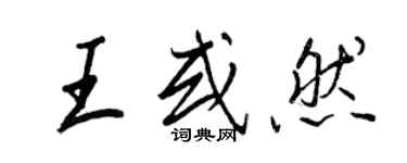 王正良王或然行書個性簽名怎么寫