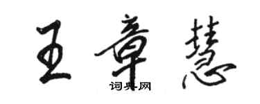 駱恆光王章慧行書個性簽名怎么寫