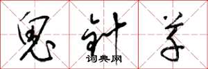梁錦英鬼針草草書怎么寫