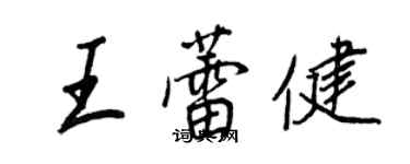 王正良王蕾健行書個性簽名怎么寫