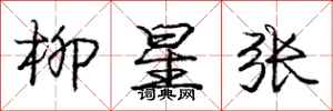 龐中華柳星張行書怎么寫