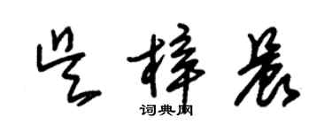 朱錫榮吳梓晨草書個性簽名怎么寫