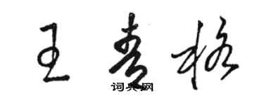 駱恆光王青格草書個性簽名怎么寫