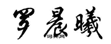 胡問遂羅晨曦行書個性簽名怎么寫