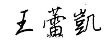 王正良王蕾凱行書個性簽名怎么寫