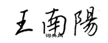 王正良王南陽行書個性簽名怎么寫