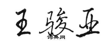 駱恆光王駿亞行書個性簽名怎么寫