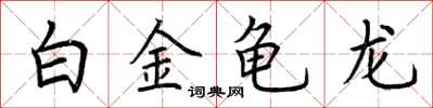 荊霄鵬白金龜龍楷書怎么寫