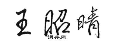 駱恆光王昭晴行書個性簽名怎么寫