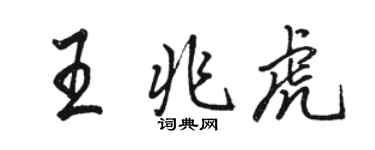駱恆光王兆虎行書個性簽名怎么寫