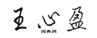 駱恆光王心盈行書個性簽名怎么寫