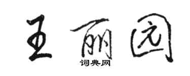 駱恆光王麗園行書個性簽名怎么寫