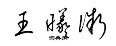 梁錦英王曦微草書個性簽名怎么寫