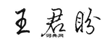 駱恆光王君盼行書個性簽名怎么寫