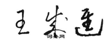 駱恆光王成進草書個性簽名怎么寫