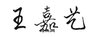 駱恆光王嘉藝行書個性簽名怎么寫