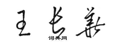 駱恆光王長華草書個性簽名怎么寫