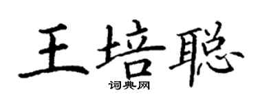 丁謙王培聰楷書個性簽名怎么寫