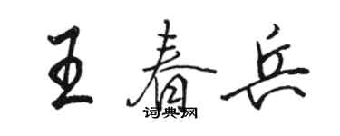 駱恆光王春兵行書個性簽名怎么寫