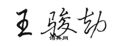 駱恆光王駿劫行書個性簽名怎么寫