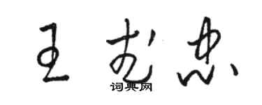 駱恆光王武忠草書個性簽名怎么寫