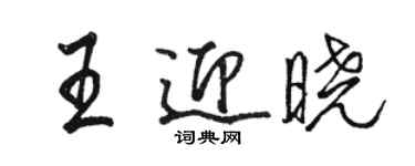 駱恆光王迎曉行書個性簽名怎么寫