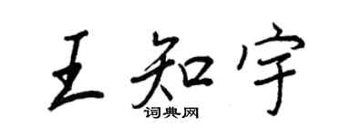 王正良王知宇行書個性簽名怎么寫