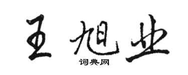 駱恆光王旭業行書個性簽名怎么寫