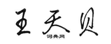 駱恆光王天貝行書個性簽名怎么寫