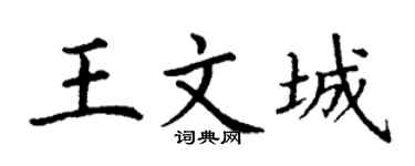 丁謙王文城楷書個性簽名怎么寫