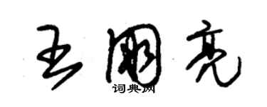 朱錫榮王朋亮草書個性簽名怎么寫