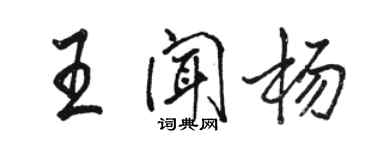 駱恆光王聞楊行書個性簽名怎么寫