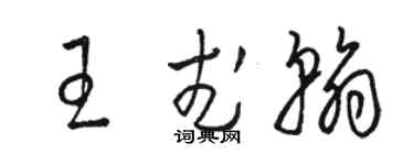 駱恆光王武翰草書個性簽名怎么寫