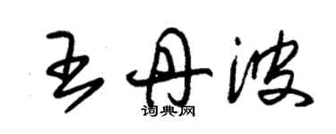 朱錫榮王丹波草書個性簽名怎么寫