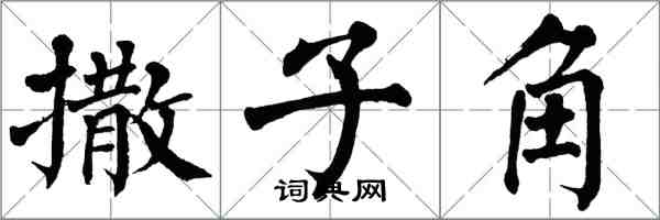 翁闓運撒子角楷書怎么寫