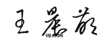 駱恆光王晨萌草書個性簽名怎么寫