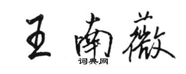 駱恆光王南薇行書個性簽名怎么寫