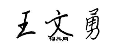王正良王文勇行書個性簽名怎么寫