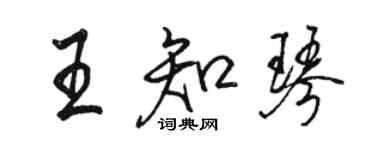 駱恆光王知琴行書個性簽名怎么寫