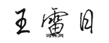 駱恆光王雷日行書個性簽名怎么寫