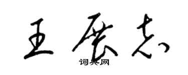 梁錦英王展志草書個性簽名怎么寫